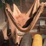 ヒメ日記 2026/02/09 18:39 投稿 望月　さりな しこたま奥様 札幌店