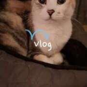 ヒメ日記 2026/02/11 22:56 投稿 望月　さりな しこたま奥様 札幌店