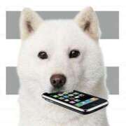 ヒメ日記 2026/02/25 20:33 投稿 望月　さりな しこたま奥様 札幌店