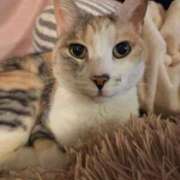 ヒメ日記 2026/02/26 00:16 投稿 望月　さりな しこたま奥様 札幌店