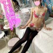 ヒメ日記 2025/01/12 19:30 投稿 沙羅-さら【FG系列】 ほんつま 町田/相模原店