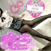 ヒメ日記 2025/02/19 05:00 投稿 沙羅-さら【FG系列】 ほんつま 町田/相模原店