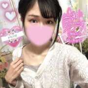 ヒメ日記 2025/04/06 05:00 投稿 沙羅-さら【FG系列】 ほんつま 町田/相模原店