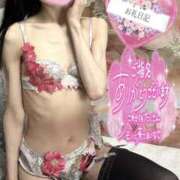 ヒメ日記 2025/04/08 05:00 投稿 沙羅-さら【FG系列】 ほんつま 町田/相模原店