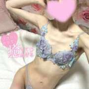 ヒメ日記 2025/08/14 19:30 投稿 沙羅-さら【FG系列】 ほんつま 町田/相模原店