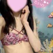 ヒメ日記 2026/02/05 19:30 投稿 沙羅-さら【FG系列】 ほんつま 町田/相模原店