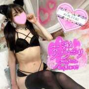 ヒメ日記 2026/02/08 05:00 投稿 沙羅-さら【FG系列】 ほんつま 町田/相模原店