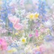 ヒメ日記 2025/01/28 14:09 投稿 ゆめ 出会い系人妻ネットワーク さいたま～大宮編