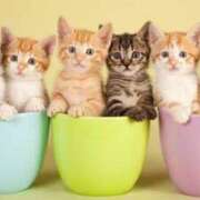 ヒメ日記 2025/02/22 11:12 投稿 ゆめ 出会い系人妻ネットワーク さいたま～大宮編