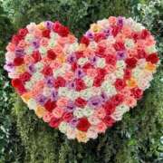 ヒメ日記 2025/02/25 23:29 投稿 ゆめ 出会い系人妻ネットワーク さいたま～大宮編