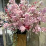 ヒメ日記 2025/03/21 18:18 投稿 ゆめ 出会い系人妻ネットワーク さいたま～大宮編