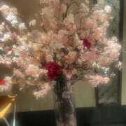 ヒメ日記 2025/04/04 18:38 投稿 ゆめ 出会い系人妻ネットワーク さいたま～大宮編