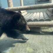 ヒメ日記 2025/04/12 15:44 投稿 ゆめ 出会い系人妻ネットワーク さいたま～大宮編