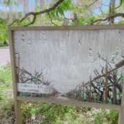 ヒメ日記 2025/05/07 21:20 投稿 ゆめ 出会い系人妻ネットワーク さいたま～大宮編