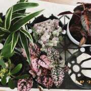 ヒメ日記 2025/05/08 15:58 投稿 ゆめ 出会い系人妻ネットワーク さいたま～大宮編