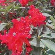 ヒメ日記 2025/05/16 21:07 投稿 ゆめ 出会い系人妻ネットワーク さいたま～大宮編