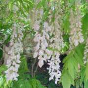 ヒメ日記 2025/06/27 18:07 投稿 ゆめ 出会い系人妻ネットワーク さいたま～大宮編