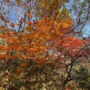 ヒメ日記 2025/11/22 21:31 投稿 ゆめ 出会い系人妻ネットワーク さいたま～大宮編