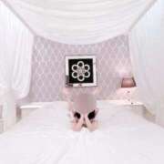 ヒメ日記 2025/11/23 15:44 投稿 ゆめ 出会い系人妻ネットワーク さいたま～大宮編