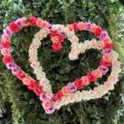 ヒメ日記 2025/04/09 20:15 投稿 ゆめ 出会い系人妻ネットワーク 春日部〜岩槻編