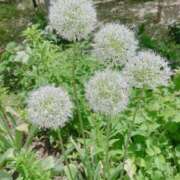 ヒメ日記 2025/05/23 19:31 投稿 ゆめ 出会い系人妻ネットワーク 春日部〜岩槻編