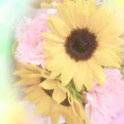 ヒメ日記 2025/08/12 20:18 投稿 ゆめ 出会い系人妻ネットワーク 春日部〜岩槻編