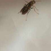 ヒメ日記 2025/09/30 14:37 投稿 ゆめ 出会い系人妻ネットワーク 春日部〜岩槻編