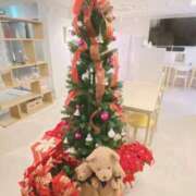 ヒメ日記 2025/11/29 15:23 投稿 ゆめ 出会い系人妻ネットワーク 春日部〜岩槻編