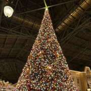 ヒメ日記 2025/12/23 11:50 投稿 ゆめ 出会い系人妻ネットワーク 春日部〜岩槻編