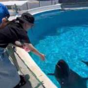 ヒメ日記 2025/01/14 12:16 投稿 鳴海ふうか 華椿