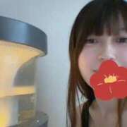 ヒメ日記 2025/01/21 00:31 投稿 鳴海ふうか 華椿