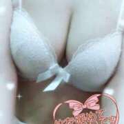 ヒメ日記 2026/02/17 09:52 投稿 のあ 錦糸町 夜這右衛門娼店～夜這・即尺・痴漢・人妻～