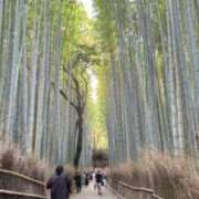 ヒメ日記 2024/08/20 13:41 投稿 ひなた プロフィール 岡山店