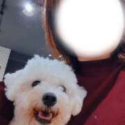 ヒメ日記 2025/10/19 05:11 投稿 えりな 人妻の秘密船橋店