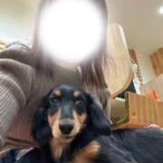 ヒメ日記 2026/04/07 22:41 投稿 えりな 人妻の秘密船橋店