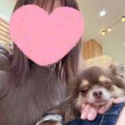 ヒメ日記 2026/04/10 11:41 投稿 えりな 人妻の秘密船橋店