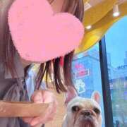 ヒメ日記 2026/04/11 13:41 投稿 えりな 人妻の秘密船橋店