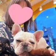 ヒメ日記 2026/04/16 11:21 投稿 えりな 人妻の秘密船橋店