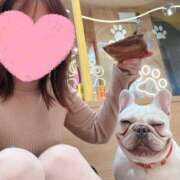 ヒメ日記 2026/04/21 17:51 投稿 えりな 人妻の秘密船橋店