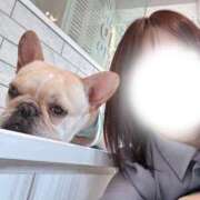 ヒメ日記 2026/04/28 19:21 投稿 えりな 人妻の秘密船橋店