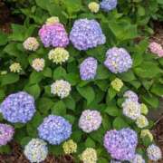 ヒメ日記 2025/06/13 09:16 投稿 のぞみ One More 奥様　西船橋店