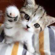 きみえ ありがとうございました！ 水戸人妻花壇