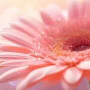 さゆり ※無題 人妻ゲッチュー