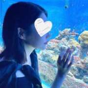 ヒメ日記 2025/08/24 10:30 投稿 さち THE ESUTE 五反田店