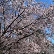 ヒメ日記 2026/04/24 17:48 投稿 【さくら】パイパンFカップ嬢 バブルリングプラス