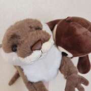 ヒメ日記 2025/08/05 23:22 投稿 すず ファーストレディー