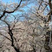 ヒメ日記 2026/03/31 10:52 投稿 えれな【巨乳女子】 Select(セレクト)