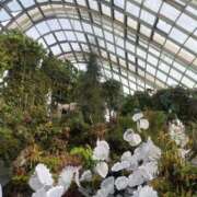 ヒメ日記 2026/01/18 12:16 投稿 まゆ E+アイドルスクール