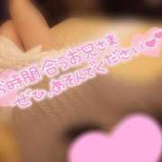 ヒメ日記 2024/12/12 12:31 投稿 あおい 小岩人妻花壇