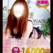 ヒメ日記 2026/08/09 09:15 投稿 ゆあ One More 奥様　松戸店